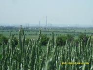 Степанівка з panoramio.com