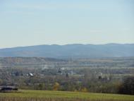 Корчівці з panoramio.com