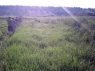 Велика Северинка з panoramio.com