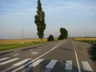 Корчівка з panoramio.com