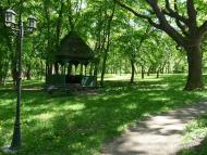 Шевченкове з panoramio.com