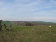 Шубранець - Останні фото