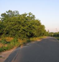 Варюшине з panoramio.com