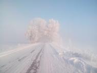 Химрич з panoramio.com