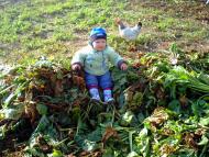 Пустомити з panoramio.com