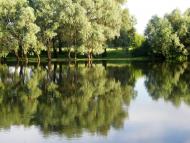 Дробишів з panoramio.com