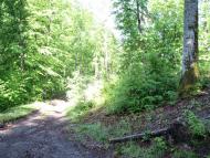 Красна з panoramio.com