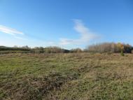 Корчівці з panoramio.com