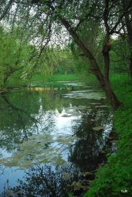 Рай з panoramio.com