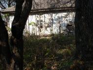 Скрипалі з panoramio.com