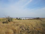 Завітне з panoramio.com