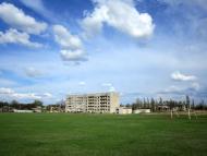 Біле з panoramio.com