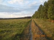 Поліське з panoramio.com