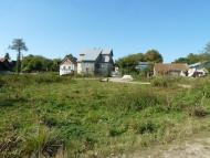 Семенівка з panoramio.com