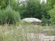 Дзензелівка з panoramio.com