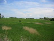 Первомайське - Останні фото