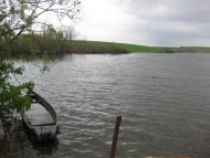 Черепашинці з panoramio.com