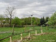 Ліски з panoramio.com