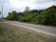 Васьки з panoramio.com