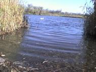 Рівне з panoramio.com