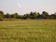 Чеснівка з panoramio.com