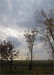 Недайвода з panoramio.com