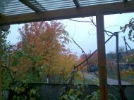 Устимівка з panoramio.com