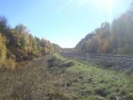 Щиборівка з panoramio.com