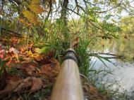 Ліски з panoramio.com