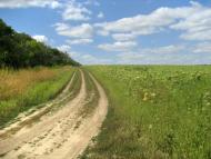 Новопетрівка з panoramio.com