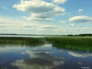 Сомин з panoramio.com