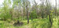 Орлівщина з panoramio.com - Орловщина