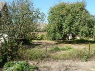 Семенівка з panoramio.com