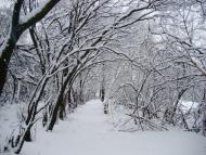 Стара Покровка з panoramio.com