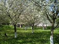 Горобіївка з panoramio.com