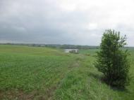 Черепашинці з panoramio.com