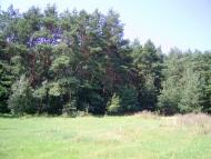 Бірки з panoramio.com