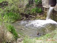 Пасицели з panoramio.com