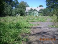 Негівці з panoramio.com