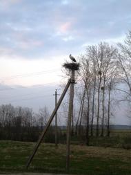 Козовата з panoramio.com