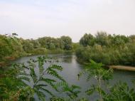 Чаплищі з panoramio.com