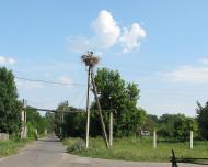 Бірки з panoramio.com