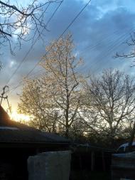 Шубранець з panoramio.com