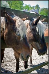 Колоденка з panoramio.com