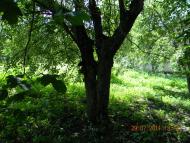 Чернецьке з panoramio.com