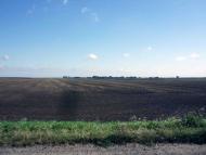 Матеушівка з panoramio.com