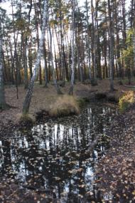 Хоцьки з panoramio.com