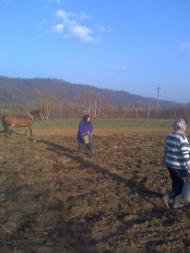 Княжолука з panoramio.com