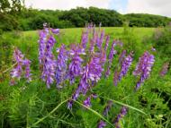 Перевалівка з panoramio.com