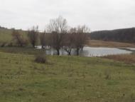 Оситняжка з panoramio.com